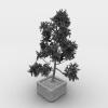 盆景-动植物-盆栽-VR/AR模型-3D城