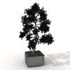 盆景-动植物-盆栽-VR/AR模型-3D城