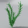 水草-动植物-花草-VR/AR模型-3D城