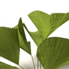 室外植物-动植物-植物-VR/AR模型-3D城
