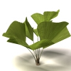 室外植物-动植物-植物-VR/AR模型-3D城