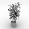 植物 -动植物-盆栽-VR/AR模型-3D城