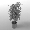 植物 -动植物-盆栽-VR/AR模型-3D城