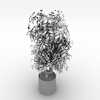 植物 -动植物-盆栽-VR/AR模型-3D城