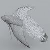 天使鱼-动植物-鱼类-VR/AR模型-3D城