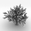 室外植物-动植物-植物-VR/AR模型-3D城