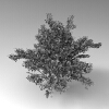 室外植物-动植物-植物-VR/AR模型-3D城