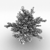 室外植物-动植物-植物-VR/AR模型-3D城