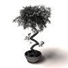 盆景-动植物-盆栽-VR/AR模型-3D城