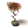 盆景-动植物-盆栽-VR/AR模型-3D城