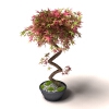 盆景-动植物-盆栽-VR/AR模型-3D城