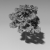 树-动植物-植物-VR/AR模型-3D城