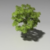 树-动植物-植物-VR/AR模型-3D城
