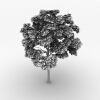 树-动植物-植物-VR/AR模型-3D城