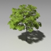 树-动植物-植物-VR/AR模型-3D城