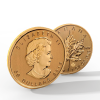 加拿大金枫叶金币-文体生活-艺术品-VR/AR模型-3D城