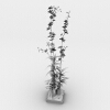 盆景-动植物-盆栽-VR/AR模型-3D城