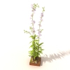 盆景-动植物-盆栽-VR/AR模型-3D城