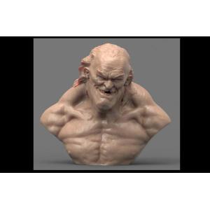 高精度兽人3D模型分享！