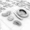 体育场-建筑-基础设施-VR/AR模型-3D城