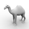 骆驼-动植物-哺乳动物-VR/AR模型-3D城
