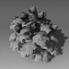 芍药-动植物-花草-VR/AR模型-3D城