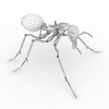 蚂蚁-动植物-昆虫-VR/AR模型-3D城