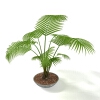 室内植物-动植物-盆栽-VR/AR模型-3D城