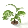 室内植物-动植物-盆栽-VR/AR模型-3D城