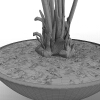 室内植物-动植物-盆栽-VR/AR模型-3D城