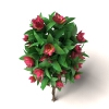 室外植物-动植物-植物-VR/AR模型-3D城