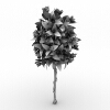 室外植物-动植物-植物-VR/AR模型-3D城