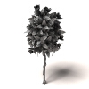 室外植物-动植物-植物-VR/AR模型-3D城