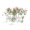 花-动植物-花草-VR/AR模型-3D城