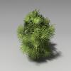 棕竹-动植物-植物-VR/AR模型-3D城