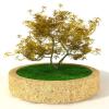 盆景-动植物-植物-VR/AR模型-3D城