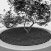 盆景-动植物-植物-VR/AR模型-3D城