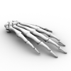 Handbone-角色人体-医学解剖-VR/AR模型-3D城