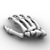 Handbone-角色人体-医学解剖-VR/AR模型-3D城