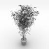 植物-动植物-盆栽-VR/AR模型-3D城