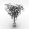 植物-动植物-盆栽-VR/AR模型-3D城