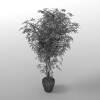 植物-动植物-盆栽-VR/AR模型-3D城