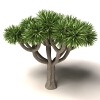 树-动植物-植物-VR/AR模型-3D城