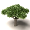 树-动植物-植物-VR/AR模型-3D城