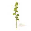 室外植物-动植物-植物-VR/AR模型-3D城