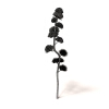 室外植物-动植物-植物-VR/AR模型-3D城