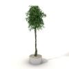 盆景-动植物-盆栽-VR/AR模型-3D城