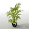 植物-动植物-盆栽-VR/AR模型-3D城