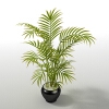 植物-动植物-盆栽-VR/AR模型-3D城