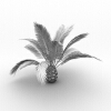 加拿利海枣-动植物-植物-VR/AR模型-3D城